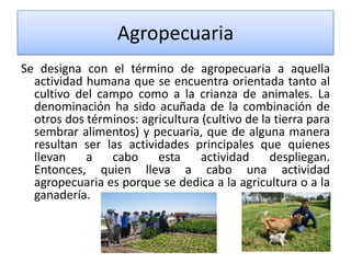 Agropecuaria
Se designa con el término de agropecuaria a aquella
actividad humana que se encuentra orientada tanto al
cultivo del campo como a la crianza de animales. La
denominación ha sido acuñada de la combinación de
otros dos términos: agricultura (cultivo de la tierra para
sembrar alimentos) y pecuaria, que de alguna manera
resultan ser las actividades principales que quienes
llevan
a
cabo
esta
actividad
despliegan.
Entonces, quien lleva a cabo una actividad
agropecuaria es porque se dedica a la agricultura o a la
ganadería.

 