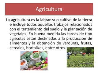 Agricultura
La agricultura es la labranza o cultivo de la tierra
e incluye todos aquellos trabajos relacionados
con el tratamiento del suelo y la plantación de
vegetales. En buena medida las tareas de tipo
agrícolas están destinadas a la producción de
alimentos y la obtención de verduras, frutas,
cereales, hortalizas, entre otros.

 
