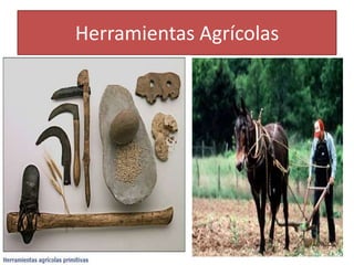 Herramientas Agrícolas

 