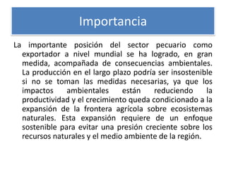 Importancia
La importante posición del sector pecuario como
exportador a nivel mundial se ha logrado, en gran
medida, acompañada de consecuencias ambientales.
La producción en el largo plazo podría ser insostenible
si no se toman las medidas necesarias, ya que los
impactos
ambientales
están
reduciendo
la
productividad y el crecimiento queda condicionado a la
expansión de la frontera agrícola sobre ecosistemas
naturales. Esta expansión requiere de un enfoque
sostenible para evitar una presión creciente sobre los
recursos naturales y el medio ambiente de la región.

 