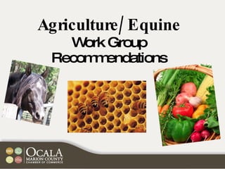 Agriculture/Equine Work Group Recommendations 