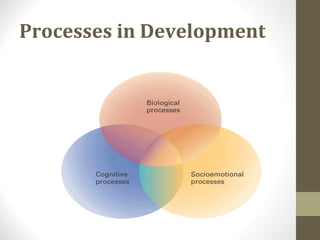 Processes in Development
 