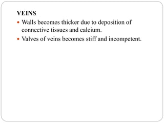 VEINS
 Walls becomes thicker due to deposition of
connective tissues and calcium.
 Valves of veins becomes stiff and incompetent.
 