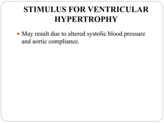STIMULUS FOR VENTRICULAR
HYPERTROPHY
 May result due to altered systolic blood pressure
and aortic compliance.
 