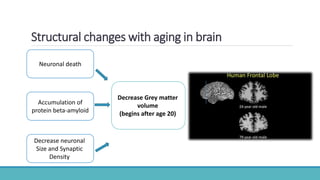 Structural changes with aging in brain
Neuronal death
Accumulation of
protein beta-amyloid
Decrease neuronal
Size and Synaptic
Density
Decrease Grey matter
volume
(begins after age 20)
 