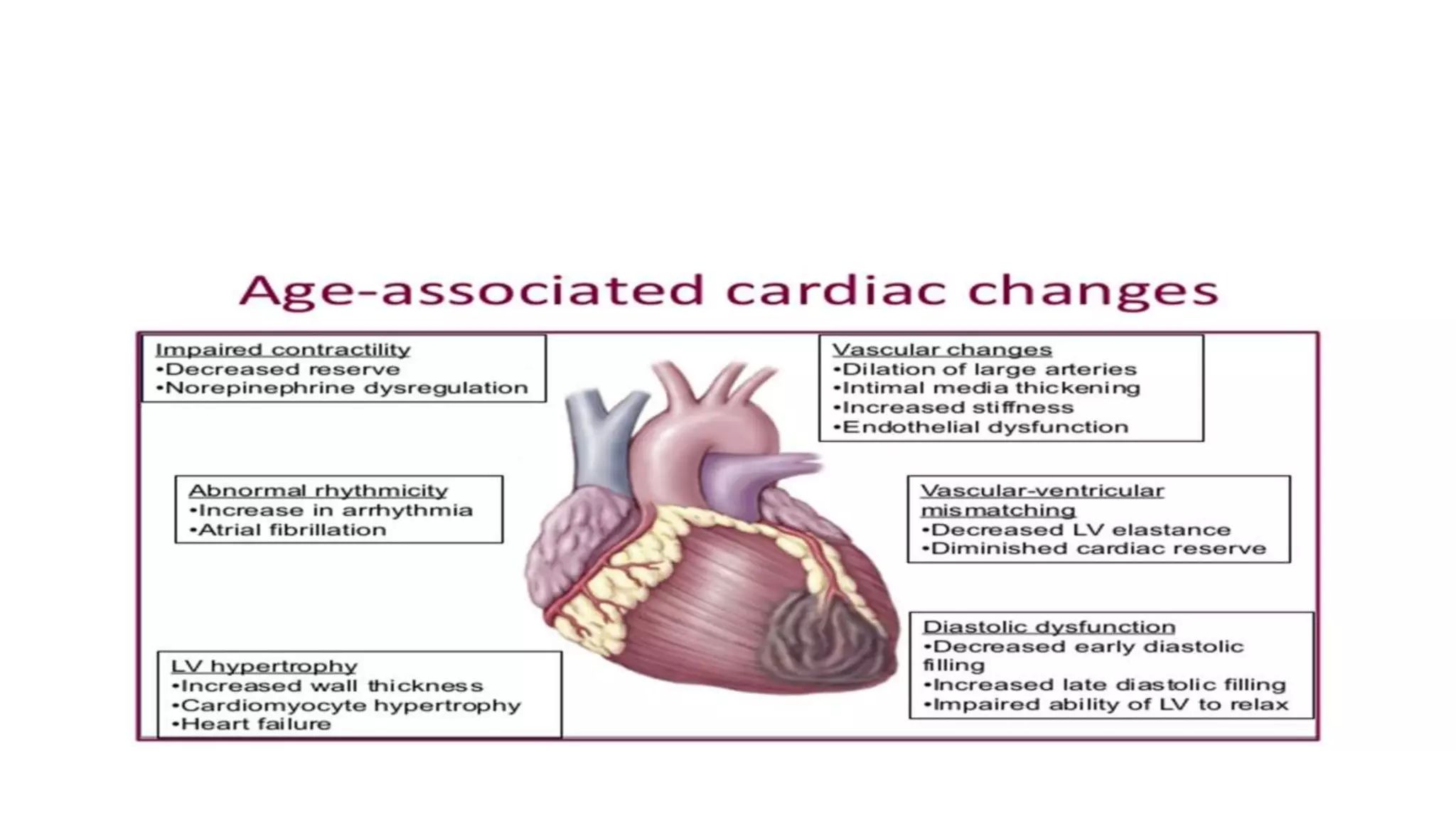 Age related changes in cvs and respiratory system | PPTX