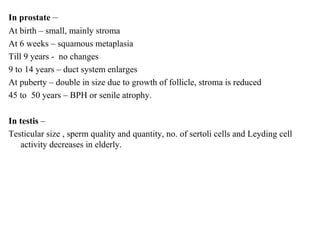 In prostate –
At birth – small, mainly stroma
At 6 weeks – squamous metaplasia
Till 9 years - no changes
9 to 14 years – duct system enlarges
At puberty – double in size due to growth of follicle, stroma is reduced
45 to 50 years – BPH or senile atrophy.
In testis –
Testicular size , sperm quality and quantity, no. of sertoli cells and Leyding cell
activity decreases in elderly.
 