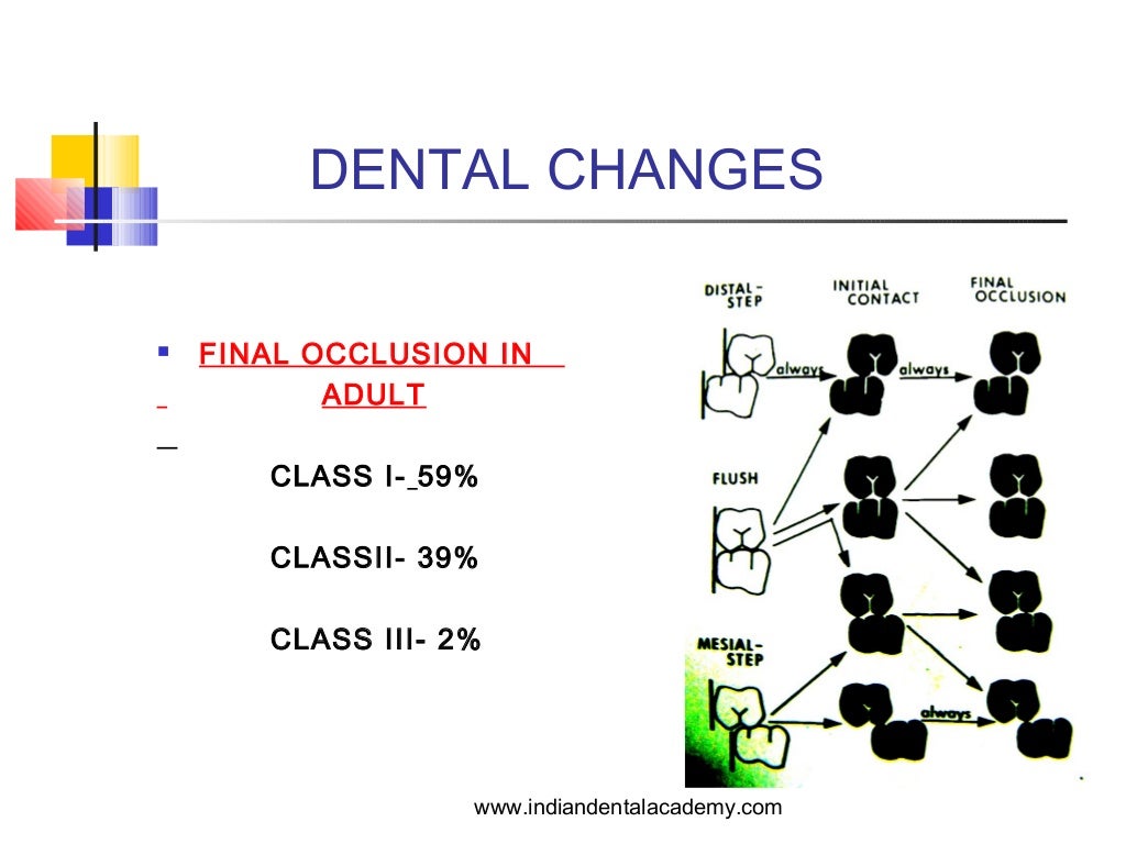 Age related soft tissue changes / orthodontic diploma courses / india…