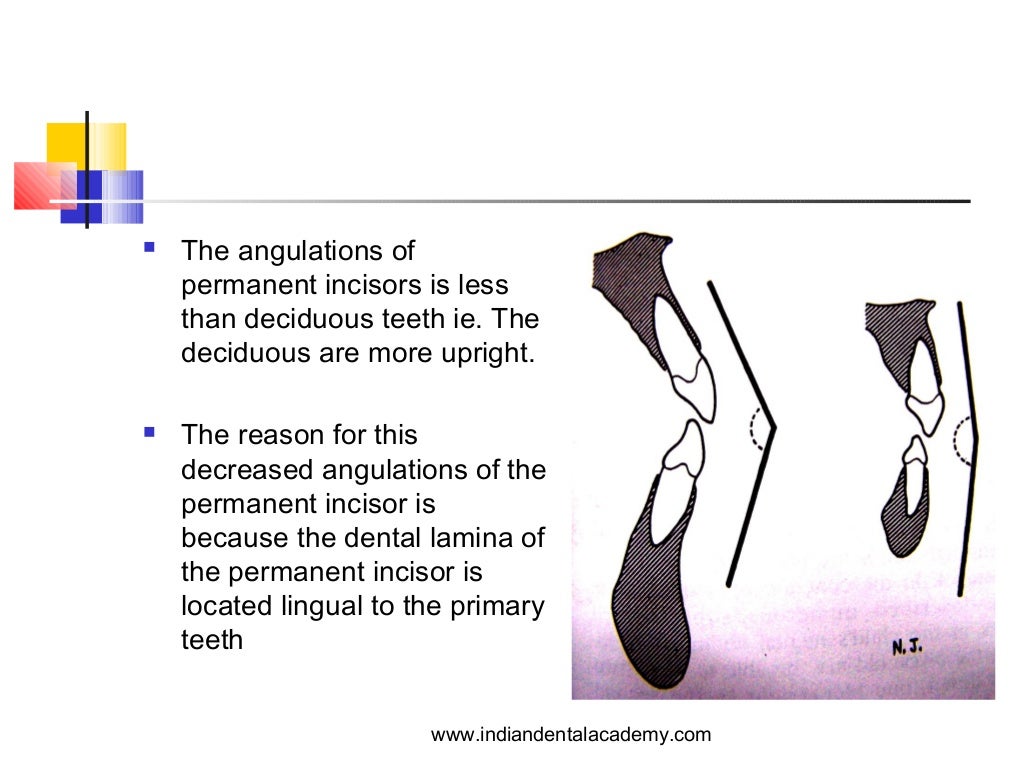 Age related soft tissue changes / orthodontic diploma courses / india…