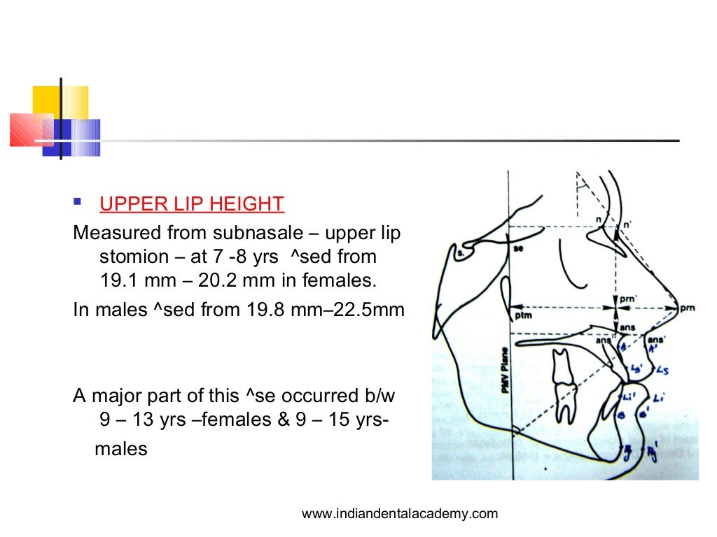 Age related soft tissue changes / orthodontic diploma courses / india…