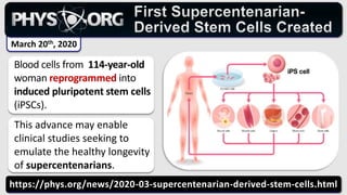 https://phys.org/news/2020-03-supercentenarian-derived-stem-cells.html
Blood cells from 114-year-old
woman reprogrammed into
induced pluripotent stem cells
(iPSCs).
March 20th, 2020
This advance may enable
clinical studies seeking to
emulate the healthy longevity
of supercentenarians.
 