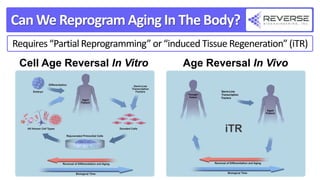 Can We Reprogram Aging In The Body?
Cell Age Reversal In Vitro Age Reversal In Vivo
iTR
Requires “Partial Reprogramming” or “induced Tissue Regeneration” (iTR)
 