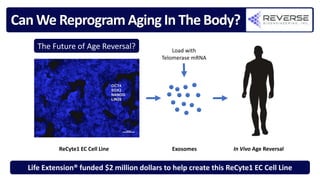 Can we Reprogram Aging in the Body?
ReCyte1 EC Cell Line Exosomes
Load with
Telomerase mRNA
In Vivo Age Reversal
Life Extension® funded $2 million dollars to help create this ReCyte1 EC Cell Line
Can We Reprogram Aging In The Body?
The Future of Age Reversal?
 
