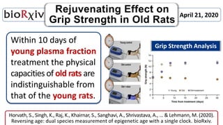Within 10 days of
young plasma fraction
treatment the physical
capacities of old rats are
indistinguishable from
that of the young rats.
Horvath, S., Singh, K., Raj, K., Khairnar, S., Sanghavi, A., Shrivastava, A., ... & Lehmann, M. (2020).
Reversing age: dual species measurement of epigenetic age with a single clock. bioRxiv.
Grip Strength Analysis
April 21, 2020
 