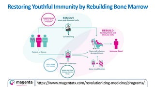 RestoringYouthfulImmunitybyRebuildingBoneMarrow
https://www.magentatx.com/revolutionizing-medicine/programs/
 