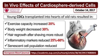 October14,2017
In Vivo Effects of Cardiosphere-derived Cells
Young CDCs transplanted into hearts of old rats resulted in:
https://academic.oup.com/eurheartj/article/38/39/2957/4080843
Exercise capacity increased 20%
Body weight decreased 30%
Hair regrowth after shaving more robust
Inflammatory markers reduced 25%-60%
Senescent cell population reduced
 