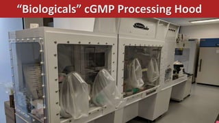 “Biologicals” cGMP Processing Hood
 