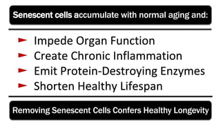 Senescent cells accumulate with normal aging and:
Removing Senescent Cells Confers Healthy Longevity
 