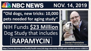 NIH Funds $23 Million
Dog Study that includes
RAPAMYCIN Daniel Promislow
principal investigator of the Dog Aging Project
“Old dogs, new tricks: 10,000
pets needed for aging study”
https://www.nbcnews.com/health/health-news/old-dogs-new-tricks-10-000-pets-needed-science-n1082151
 