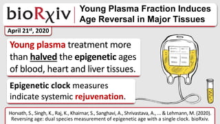 April 21st, 2020
Horvath, S., Singh, K., Raj, K., Khairnar, S., Sanghavi, A., Shrivastava, A., ... & Lehmann, M. (2020).
Reversing age: dual species measurement of epigenetic age with a single clock. bioRxiv.
Young plasma treatment more
than halved the epigenetic ages
of blood, heart and liver tissues.
Epigenetic clock measures
indicate systemic rejuvenation.
 