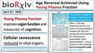 https://www.biorxiv.org/content/10.1101/2020.05.07.082917v1.full
April 21st, 2020
Cellular senescence
reduced in vital organs.
Young Plasma fraction
improvesorganfunctionand
measures of cognition.
The effect of plasma
fraction treatment on
cellular senescence:
After a 155-day
treatment period, the
brains of young plasma
treated old rats and
young rats were stained
for senescence-
associated “beta-
galactosidase”, whose
activity on the substrate
turns senescent cells
blue in color.
 