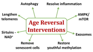 Age Reversal
Interventions
Autophagy Resolve inflammation
Remove
senescent cells
Restore
youthful methylation
Lengthen
telomeres
AMPK/
mTOR
Sirtuins -
NAD+
Exosomes
 