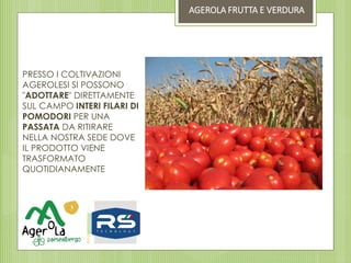 PRESSO I COLTIVAZIONI
AGEROLESI SI POSSONO
"ADOTTARE" DIRETTAMENTE
SUL CAMPO INTERI FILARI DI
POMODORI PER UNA
PASSATA DA RITIRARE
NELLA NOSTRA SEDE DOVE
IL PRODOTTO VIENE
TRASFORMATO
QUOTIDIANAMENTE
AGEROLA FRUTTA E VERDURA
 