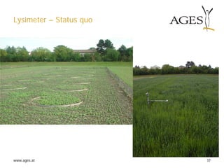 www.ages.at 37
Lysimeter – Status quo
 