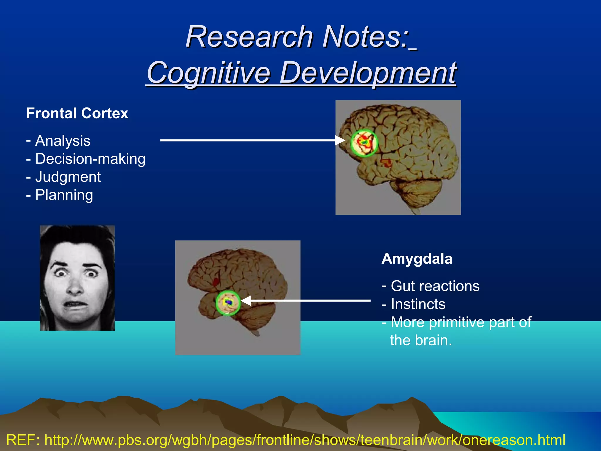 Research Notes:
                   Cognitive Development
  Frontal Cortex
  - Analysis
  - Decision-making
  - Judgment
  - Planning



                                                     Amygdala
                                                     - Gut reactions
                                                     - Instincts
                                                     - More primitive part of
                                                       the brain.




REF: http://www.pbs.org/wgbh/pages/frontline/shows/teenbrain/work/onereason.html
 