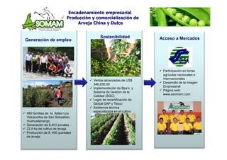 Agexport