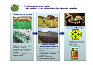 Agexport
