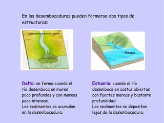 En las desembocaduras pueden formarse dos tipos de
estructuras:
Delta: se forma cuando el
río desemboca en mares
poco profundos y con mareas
poco intensas.
Los sedimentos se acumulan
en la desembocadura.
Estuario: cuando el río
desemboca en costas abiertas
con fuertes mareas y bastante
profundidad.
Los sedimentos se depositan
lejos de la desembocadura.
 