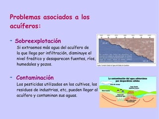 Problemas asociados a los
acuíferos:
Sobreexplotación
Si extraemos más agua del acuífero de
la que llega por infiltración, disminuye el
nivel freático y desaparecen fuentes, ríos,
humedales y pozos.
Contaminación
Los pesticidas utilizados en los cultivos, los
residuos de industrias, etc, pueden llegar al
acuífero y contaminan sus aguas.
 