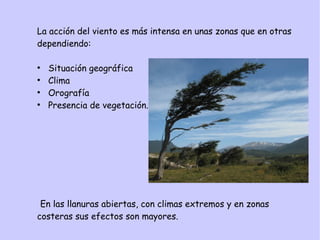 La acción del viento es más intensa en unas zonas que en otras
dependiendo:
●
Situación geográfica
●
Clima
●
Orografía
●
Presencia de vegetación.
En las llanuras abiertas, con climas extremos y en zonas
costeras sus efectos son mayores.
 