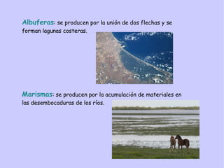 Albuferas: se producen por la unión de dos flechas y se
forman lagunas costeras.
Marismas: se producen por la acumulación de materiales en
las desembocaduras de los ríos.
 