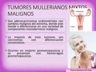 TUMORES MULLERIANOS MIXTOS 
MALIGNOS 
• Son adenocarcinomas endometriales con 
cambios malignos del estroma, donde este 
tiende a diferenciarse en una variedad de 
componentes mesodermicos malignos. 
• La mayoría de esos tumores son 
carcinomas con diferenciación 
sarcomatosa. 
• Ocurren en mujeres posmenopausicas y 
se presentan con hemorragias 
posmenopausicas. 
Diana Daniela Gil Díaz 
 