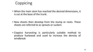 Coppice Method Roots AGF | PDF