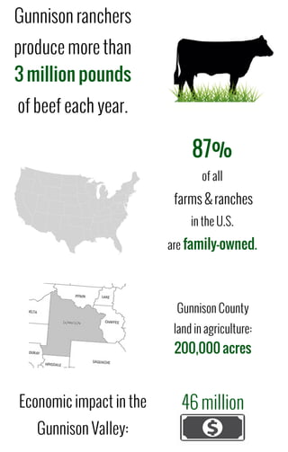 Gunnison ranchers 
produce more than 
3 million pounds 
of beef each year. 
87% 
of all 
farms & ranches 
in the U.S. 
are family-owned. 
Gunnison County 
land in agriculture: 
200,000 acres 
Economic impact in the 
Gunnison Valley: 
46 million 

