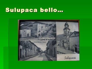 Sulupaca bello… 