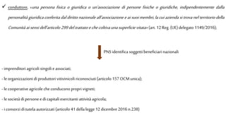  conduttore, «una persona fisica o giuridica o un’associazione di persone fisiche o giuridiche, indipendentemente dalla
personalità giuridica conferita dal diritto nazionale all’associazione e ai suoi membri, la cui azienda si trova nel territorio della
Comunità aisensidell’articolo 299deltrattato echecoltiva unasuperficie vitata» (art. 12 Reg. (UE)delegato 1149/2016);
- imprenditori agricoli singoli e associati;
- le organizzazioni di produttori vitivinicoli riconosciuti (articolo 157 OCMunica);
- le cooperative agricole checonducono propri vigneti;
- le società di persone e di capitali esercitanti attività agricola;
- i consorzi di tutela autorizzati (articolo 41 della legge12 dicembre 2016 n.238)
PNS identifica soggetti beneficiari nazionali
 