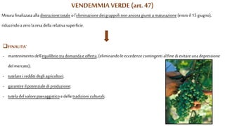 VENDEMMIA VERDE (art. 47)
Misura finalizzata alla distruzione totale o l'eliminazione dei grappoli non ancora giunti a maturazione (entro il 15 giugno),
riducendo a zerola resa della relativa superficie.
FINALITA’
- mantenimento dell’equilibrio tra domanda e offerta, (eliminando le eccedenzecontingenti al finedi evitare una depressione
del mercato);
- tutelare i redditi degli agricoltori;
- garantire il potenziale di produzione;
- tutela del valorepaesaggistico e delle tradizioni culturali;
 