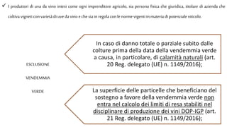  I produttori di uva da vino intesi come ogni imprenditore agricolo, sia persona fisica che giuridica, titolare di azienda che
coltiva vigneti con varietà di uveda vino echesia in regola conlenorme vigenti in materia di potenziale viticolo.
In caso di danno totale o parziale subito dalle
colture prima della data della vendemmia verde
a causa, in particolare, di calamità naturali (art.
20 Reg. delegato (UE) n. 1149/2016);
La superficie delle particelle che beneficiano del
sostegno a favore della vendemmia verde non
entra nel calcolo dei limiti di resa stabiliti nel
disciplinare di produzione dei vini DOP-IGP (art.
21 Reg. delegato (UE) n. 1149/2016);
ESCLUSIONE
VENDEMMIA
VERDE
 