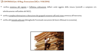  CONTROLLI (art. 43 Reg. d’esecuzione(UE) n. 1150/2016)
• verifica esistenza del vigneto e l’effettiva coltivazione della/e unità oggetto della misura (controlli a campione e/o
telerilevamento nell’ambito del SIGC);
• verifica completa eliminazione o distruzione dei grappoli insistenti sull’unità vitata ammessa all’intervento;
• verifica del metodo utilizzato (dettagliando l’eventuale esecuzione deilavori effettuati in economia);
 