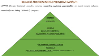 RILASCIO AUTORIZZAZIONIPERNUOVI IMPIANTI
MIPAAFT (Decreto Direttoriale annuale), comunica «superficie nazionale autorizzabile» per nuovi impianti nell’anno
successivo (exart. 64 Reg. OCMunica), composta:
SUPERFICI
RINUNCIATE
SUPERFICI
ESENTIAUTORIZZAZIONI
TRASFORMATEIN VIGNETIPRODUTTIVO
•1% SUPERFICIEVITATANAZIONALE
•riscontrataal
•31LUGLIODELL'ANNOPRECEDENTE(articolo 6, comma1, DM12272);
 