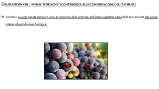 SUPERFICIIN CUIL'IMPIANTODI VIGNETICONTRIBUISCEALLA CONSERVAZIONEDELL'AMBIENTE
 viticoltori assoggettati da almeno 5 anni, al momento della richiesta, nell'intera superficie vitata delle loro aziende alle norme
relative alla produzione biologica;
 