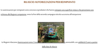 RILASCIO AUTORIZZAZIONIPERREIMPIANTO
Le autorizzazioni perreimpianti sono concesse ai produttori che hanno estirpato una superficie vitata e chepresentano una
richiesta alla Regione competente, entro la fine della seconda campagna viticola successiva all'estirpazione
LeRegioni rilasciano Autorizzazioni entro 3 mesi dalla presentazione delle domande ammissibili, con validità di 3 anni a partire
dalla data di rilascio
 