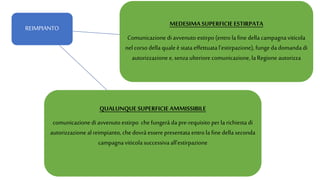 REIMPIANTO
MEDESIMASUPERFICIEESTIRPATA
Comunicazione di avvenuto estirpo (entro la fine della campagnaviticola
nel corso della qualeè stata effettuata l'estirpazione), funge da domanda di
autorizzazione e, senza ulteriore comunicazione, laRegione autorizza
QUALUNQUESUPERFICIEAMMISSIBILE
comunicazionedi avvenuto estirpo che fungerà da pre-requisito perla richiesta di
autorizzazione al reimpianto, che dovrà essere presentata entro la fine della seconda
campagnaviticola successiva all'estirpazione
 