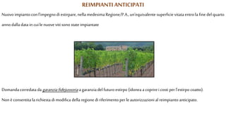 REIMPIANTIANTICIPATI
Nuovo impianto conl'impegnodiestirpare, nella medesima Regione/P.A.,un'equivalente superficievitata entro la finedel quarto
anno dalla data in cui lenuove viti sono state impiantate
Domanda corredata da garanziafidejussoria a garanzia delfuturo estirpo (idonea a coprire icosti perl'estirpo coatto).
Non èconsentita la richiesta di modifica della regione di riferimento perle autorizzazioni al reimpianto anticipato.
 