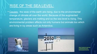 RISE OF THE SEA LEVEL:
• Causes: the seas of the earth are rising, due to the environmental
change of climate all over the world. Because of the augmented
temperature, glaciers are melting and so the sea level is rising. This
environmental problem affects not only humans but animals too which
are living in icy areas such as Antarctica.
https://sealevel.nasa.gov
/understanding-sea-
level/causes/overview
 