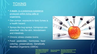 TOXINS
• A toxin: is a poisonous substance
produced within living cells or
organisms.
• Gas pumps: exposure to toxic fumes is
a health hazard.
• Sprays like bug sprays, hairsprays are
absorbed into the skin, bloodstream
and intestines.
• Chronic stress creates toxins
• Food: pesticides , hormones, food
coloring , preservatives, Genetically
Modified Organisms (GMOs)
https://en.wikipedia.
org/wiki/Toxin
http://www.onegreenplanet.org/life
style/hidden-toxins-in-our-
everyday-lives-and-how-to-avoid-
them/
https://www.mindbodygreen.
com/0-9694/13-dangerous-
toxins-to-avoid-in-your-
food.html
 